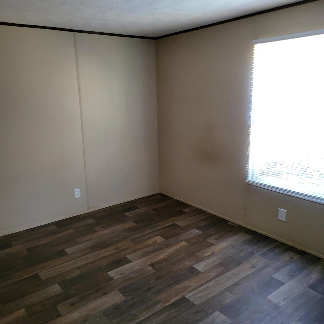 111 Pamela Avenue Photo 21