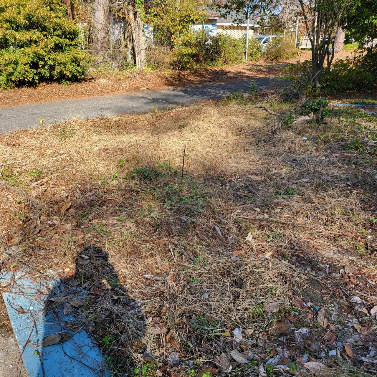 111 Pamela Avenue Photo 6