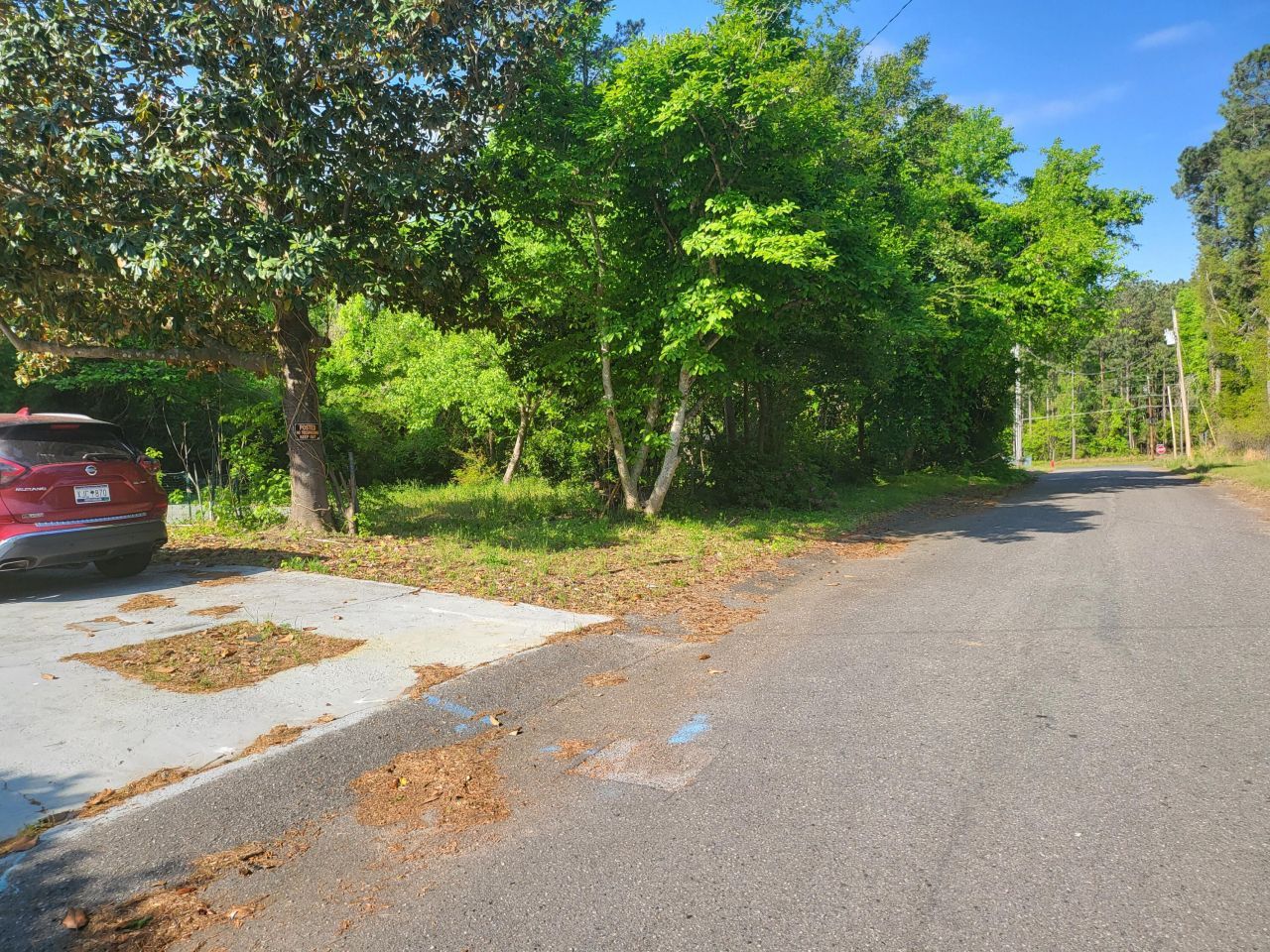 111 Pamela Avenue Photo 8