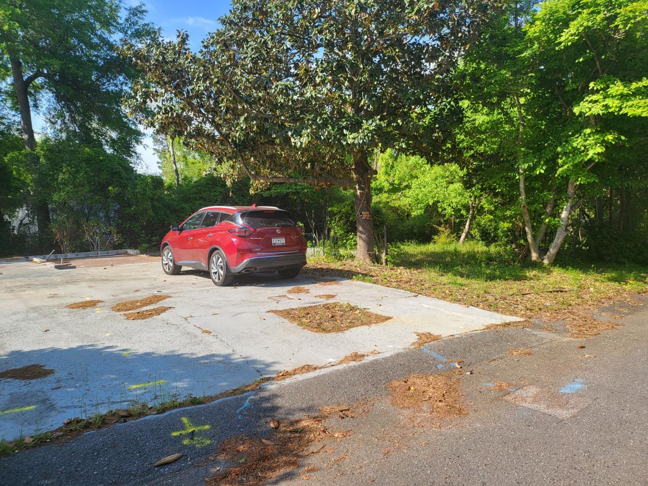 111 Pamela Avenue Photo 9