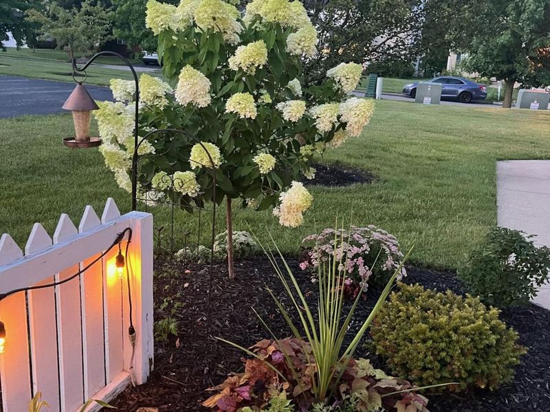 676 Wadebridge Drive, Unit 5A, Blacklick, OH 43004 Photo 33