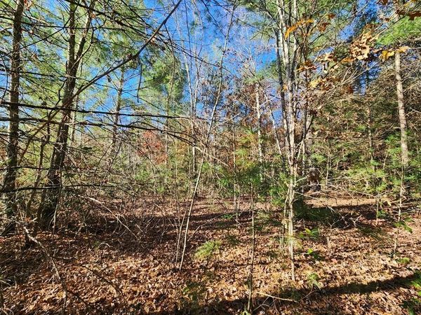 Lot 25 Shotgun Annie Rd, Jamestown, TN 38556