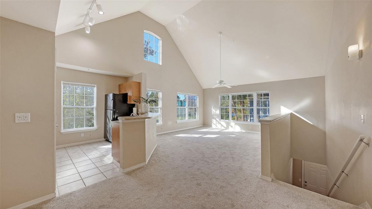 5520 Rosehill Road, Unit 203, Sarasota, FL 34233 Photo