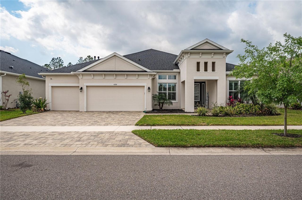 4206 Tour Trace, Land O Lakes, FL 34638 Photo
