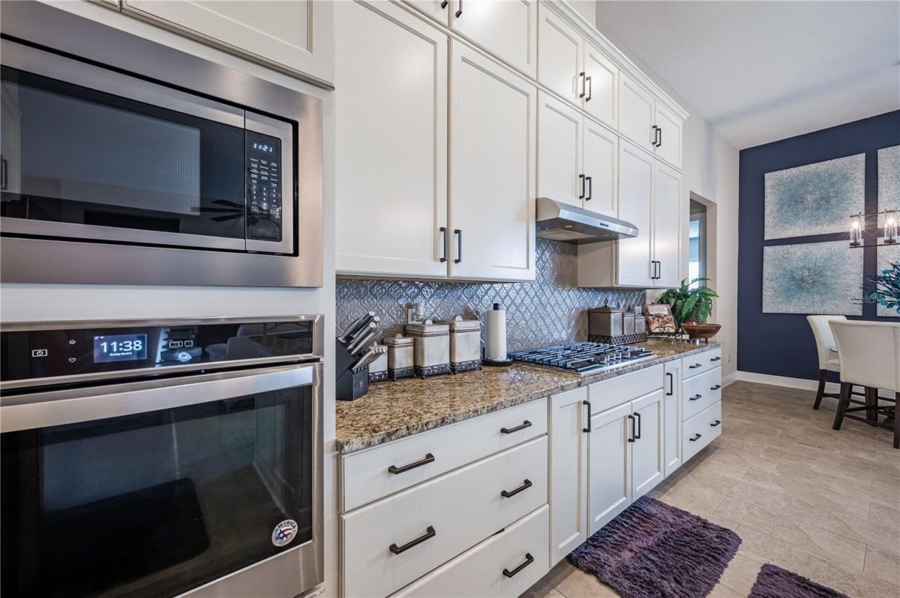 4206 Tour Trace, Land O Lakes, FL 34638 Photo