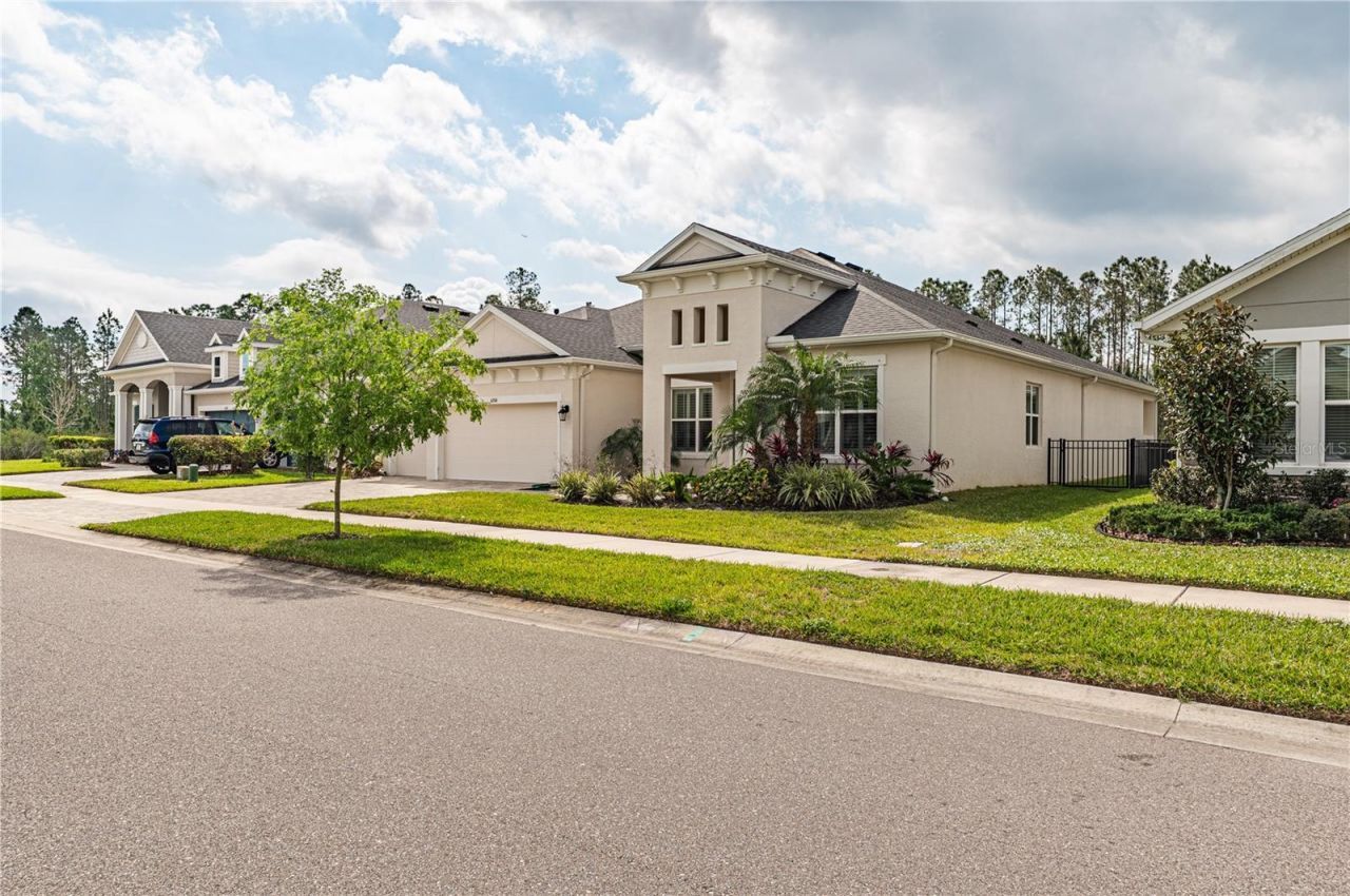 4206 Tour Trace, Land O Lakes, FL 34638 Photo