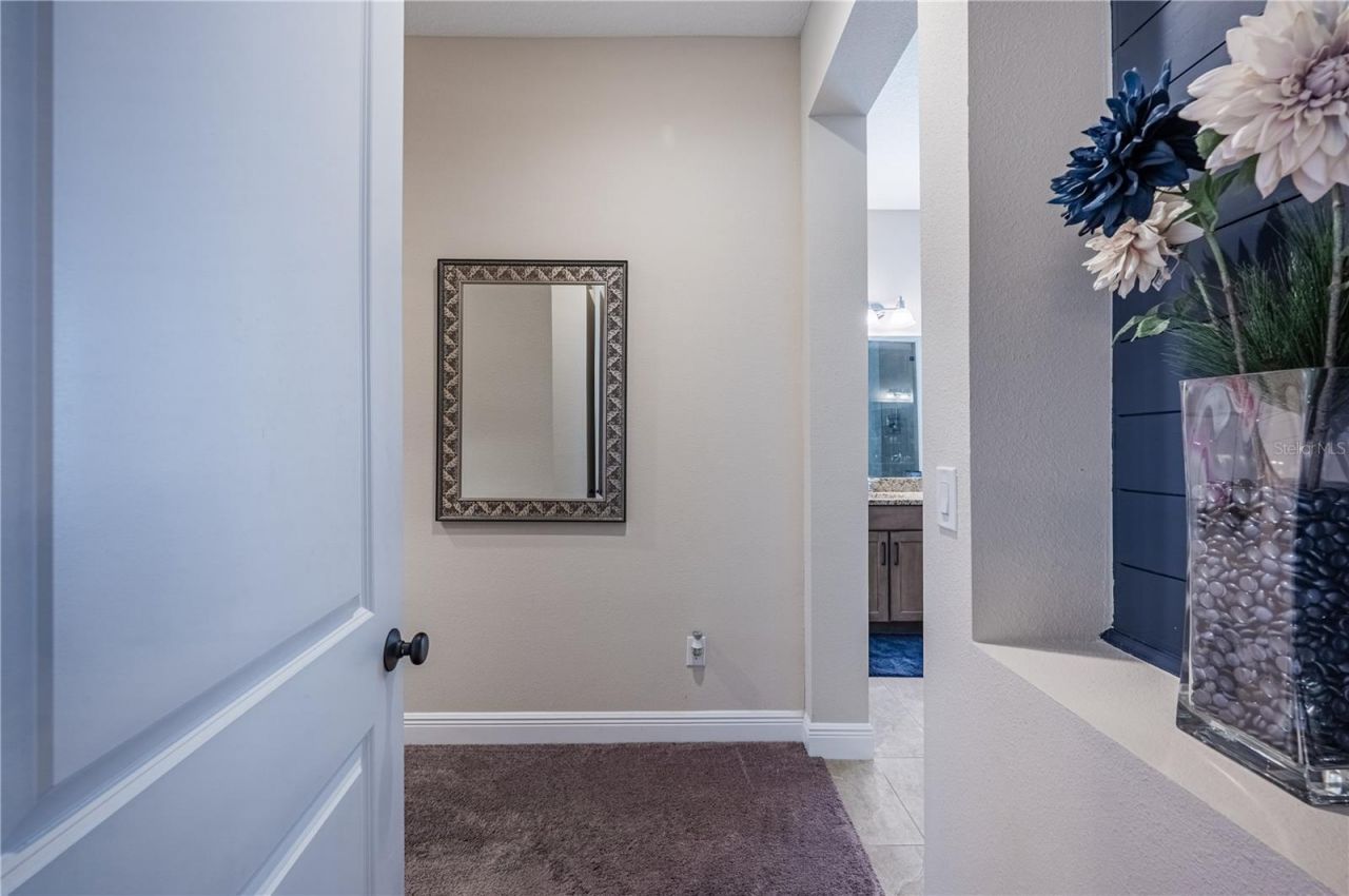 4206 Tour Trace, Land O Lakes, FL 34638 Photo