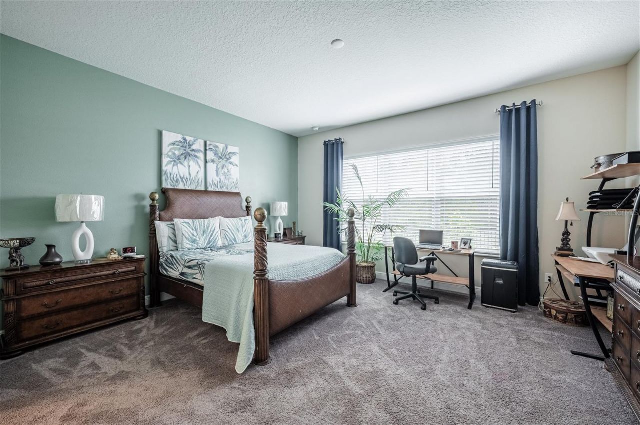 4206 Tour Trace, Land O Lakes, FL 34638 Photo