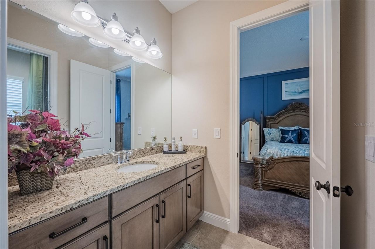 4206 Tour Trace, Land O Lakes, FL 34638 Photo