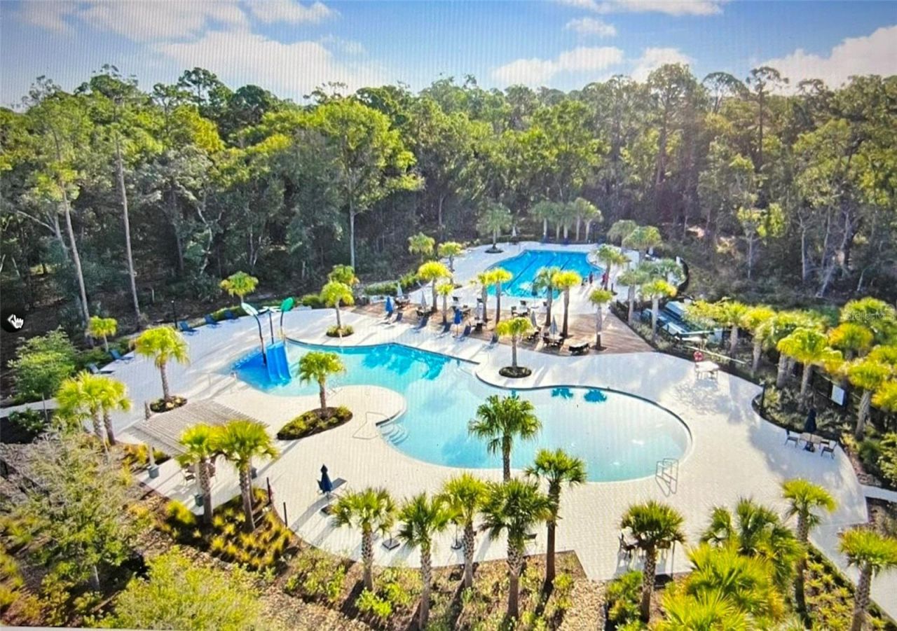 4206 Tour Trace, Land O Lakes, FL 34638 Photo