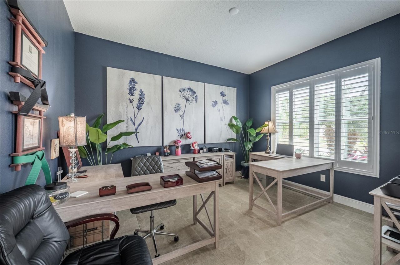 4206 Tour Trace, Land O Lakes, FL 34638 Photo