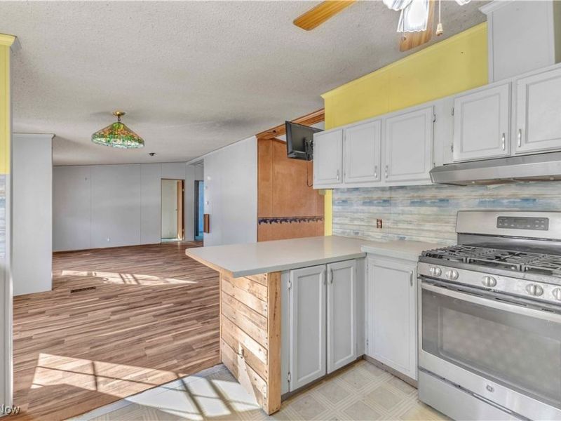 316 Railroad Street, Wellington, OH 44090 Photo 22