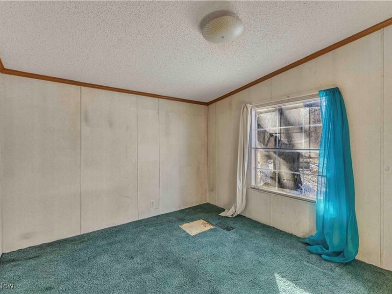 316 Railroad Street, Wellington, OH 44090 Photo 31