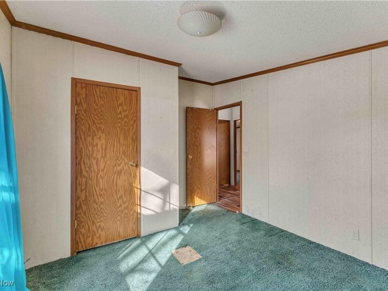 316 Railroad Street, Wellington, OH 44090 Photo 32