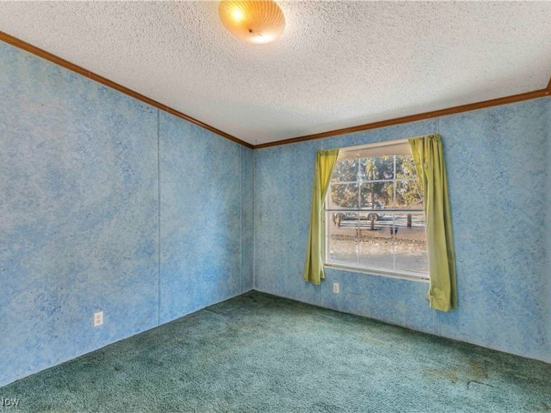 316 Railroad Street, Wellington, OH 44090 Photo 35