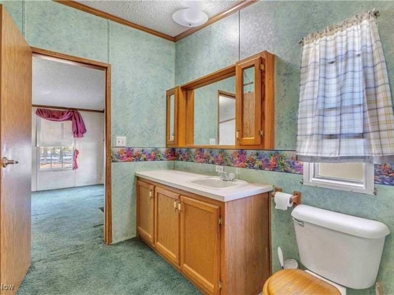 316 Railroad Street, Wellington, OH 44090 Photo 38