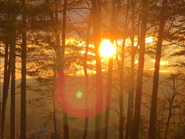 999 Blue Ridge Heights Drive, Blue Ridge, GA 30513