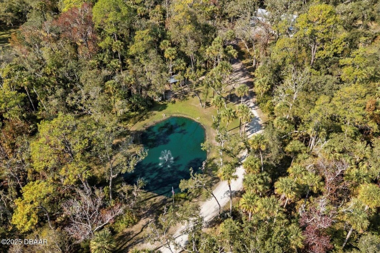 2995 Ragis Road, Edgewater, FL 32132 Photo