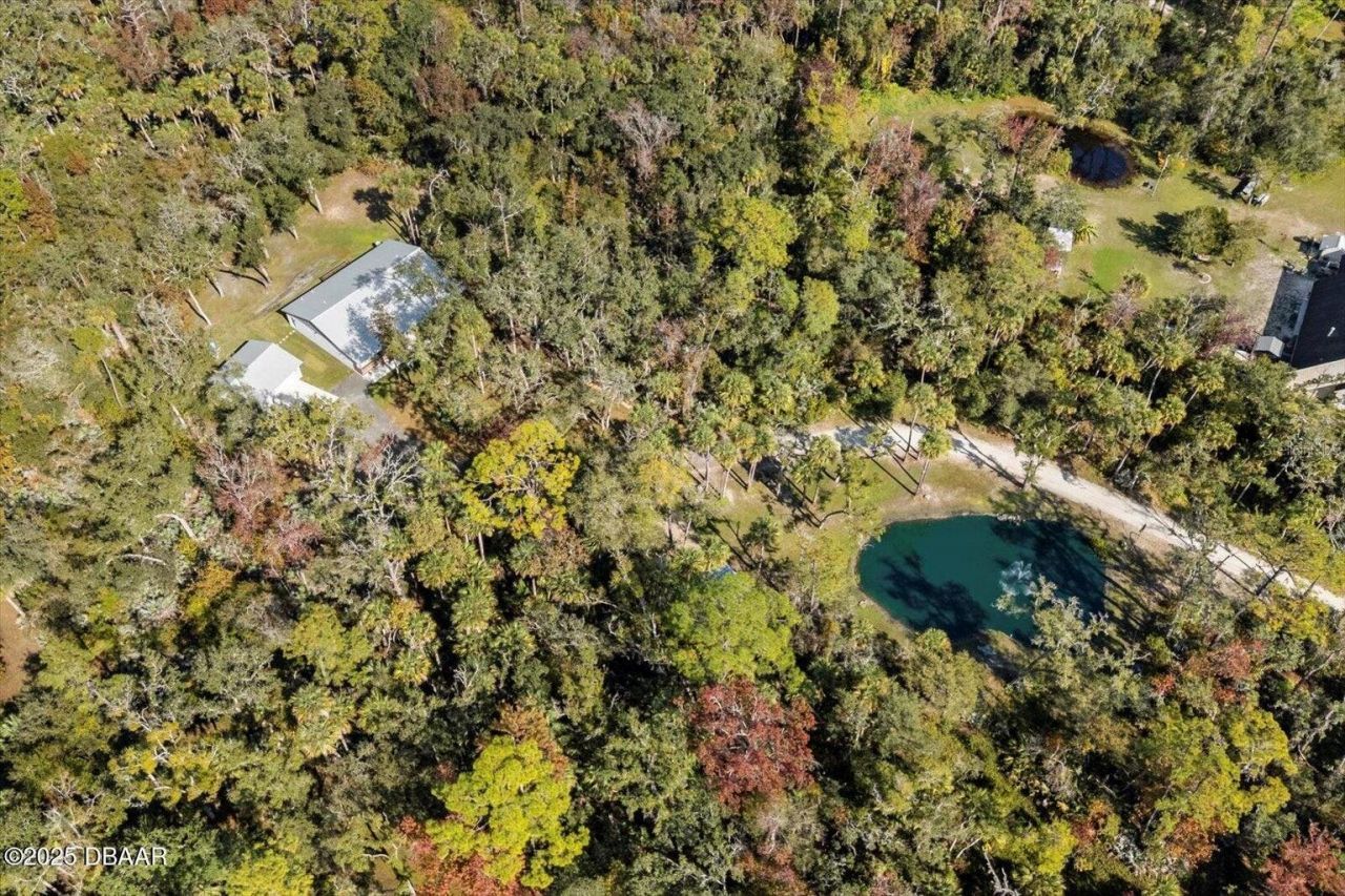 2995 Ragis Road, Edgewater, FL 32132 Photo