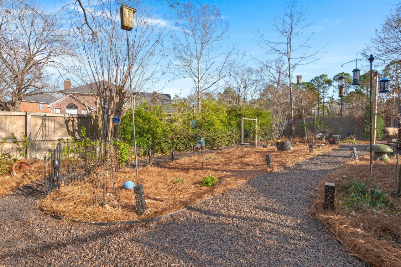 105 Spike Point Court Photo 46