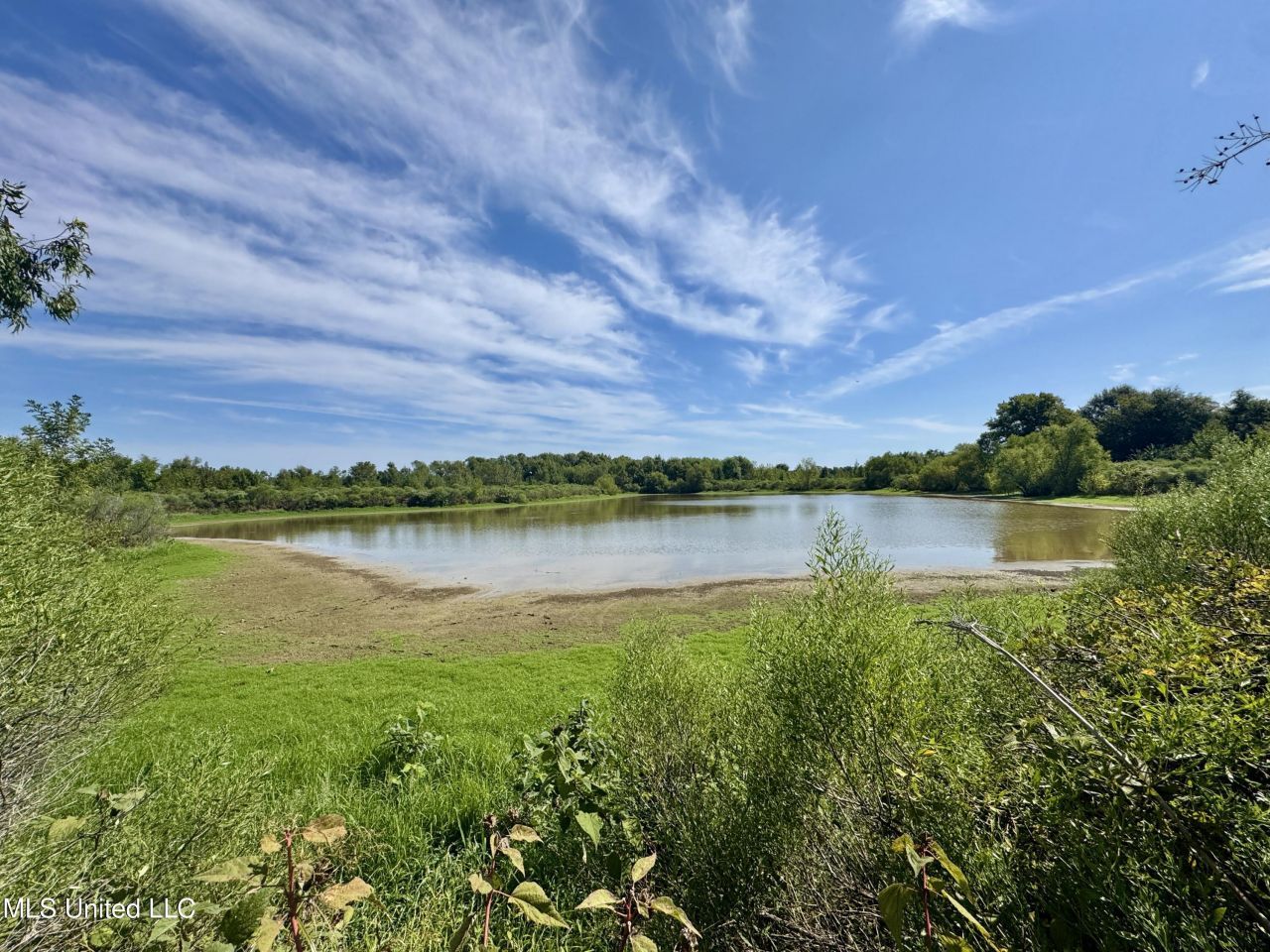 Highway 32, Charleston, MS 38921 Main Photo