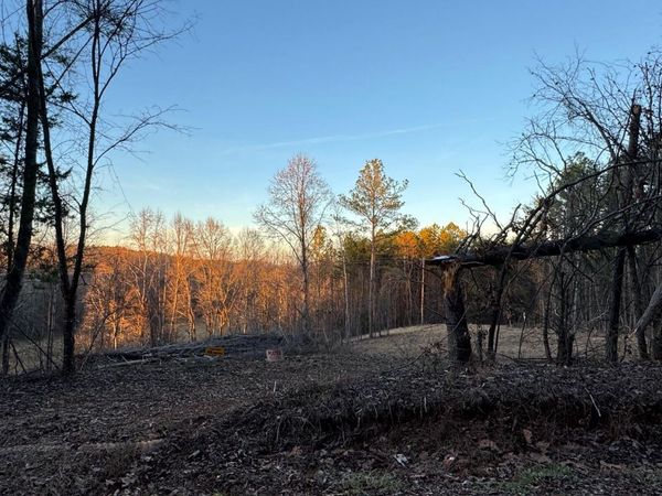 2100 Cottonport Ridge Road, Decatur, TN 37322