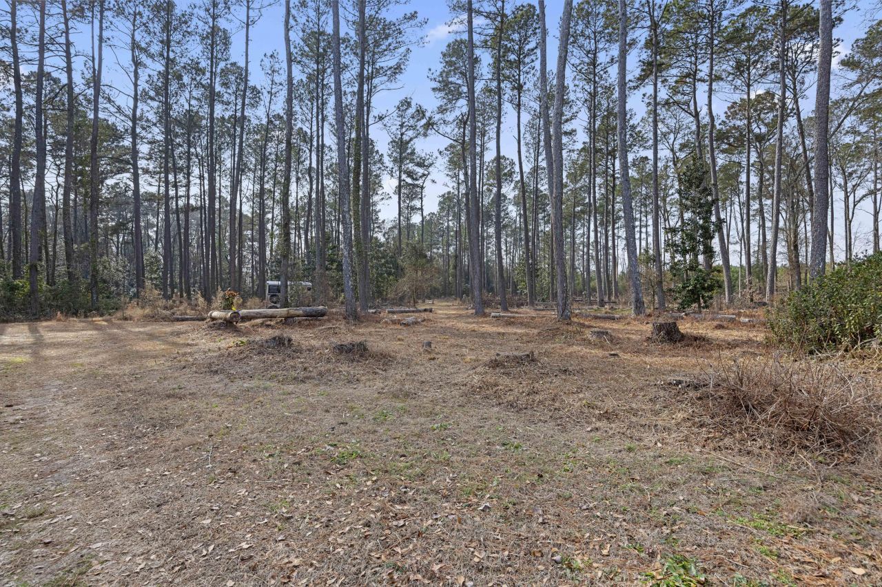 6293 Ehrhardt Road Photo 47