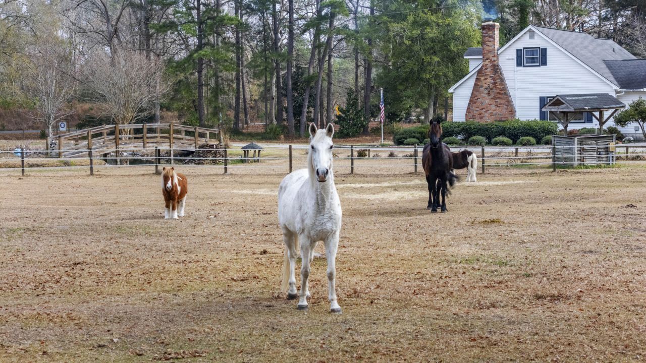 6293 Ehrhardt Road Photo 6