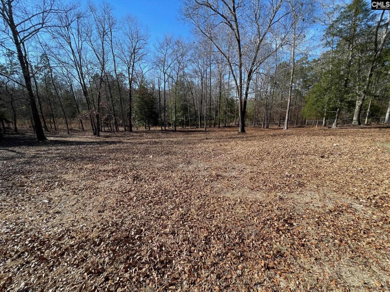 1704 Thunderwood Road Photo 43