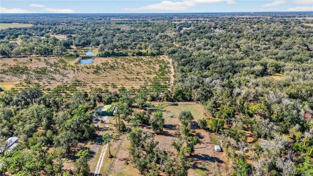 3019 SE Creekwood Terrace, Arcadia, FL 34266 Photo