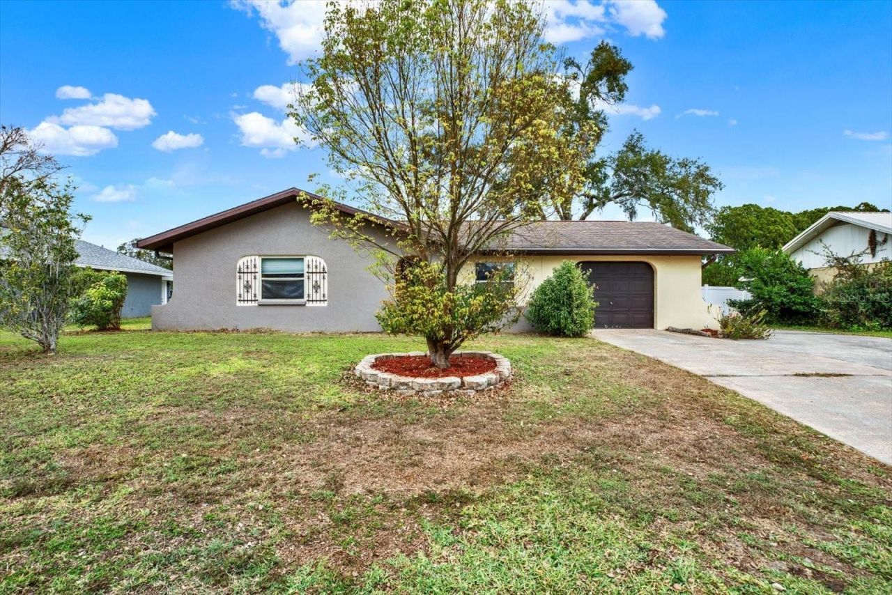 31205 Lancewood Drive, Brooksville, FL 34602 Main Photo