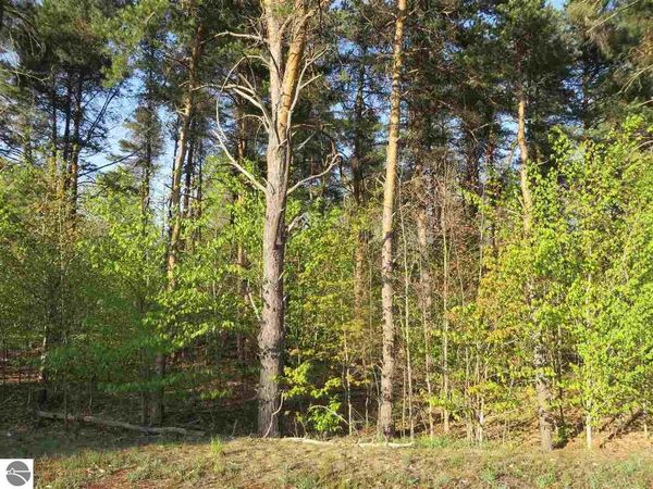 20 Spruce Hollow Trace, Fife Lake, MI 49633