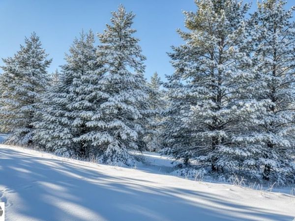 20 Spruce Hollow Trace, Fife Lake, MI 49633