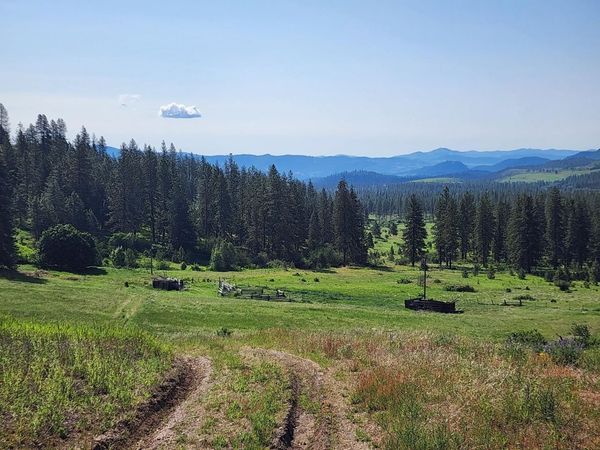 xxx Hall Creek Rd, Inchelium, WA 99138