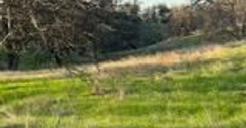 627 Merced Falls, La Grange, CA 95329 Photo