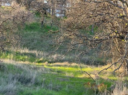 627 Merced Falls, La Grange, CA 95329 Photo