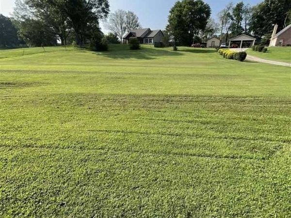 48 STAFFORD RD, Brighton, TN 38011