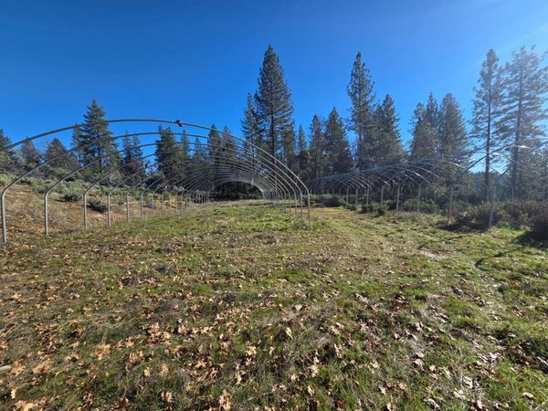 Canterbury, Pioneer, CA 95666