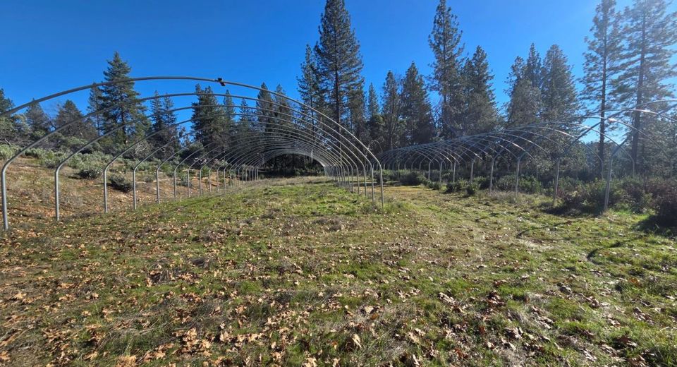 Canterbury, Pioneer, CA 95666 Photo