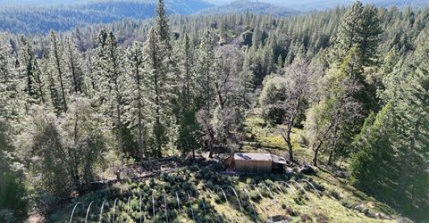 Canterbury, Pioneer, CA 95666 Photo