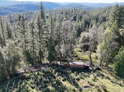 Canterbury, Pioneer, CA 95666 Photo