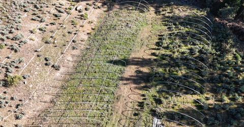 Canterbury, Pioneer, CA 95666 Photo