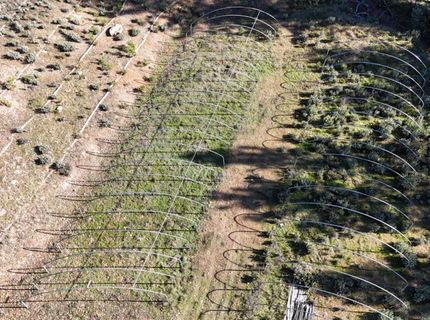 Canterbury, Pioneer, CA 95666 Photo