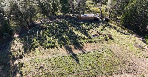 Canterbury, Pioneer, CA 95666 Photo