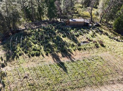 Canterbury, Pioneer, CA 95666 Photo