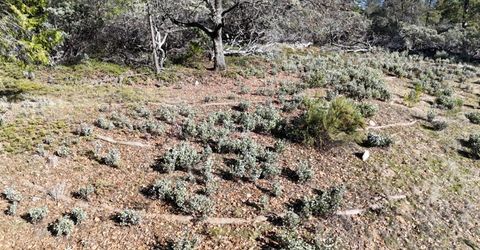 Canterbury, Pioneer, CA 95666 Photo