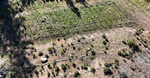 Canterbury, Pioneer, CA 95666 Photo