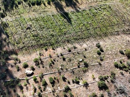 Canterbury, Pioneer, CA 95666 Photo