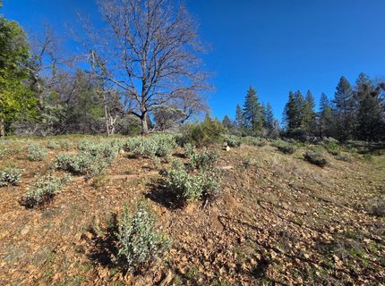 Canterbury, Pioneer, CA 95666 Photo