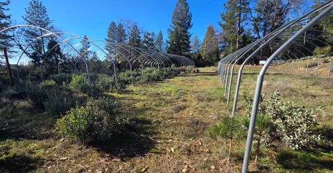 Canterbury, Pioneer, CA 95666 Photo